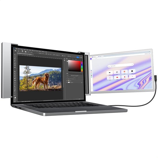 Extra laptop scherm - GS Goods
